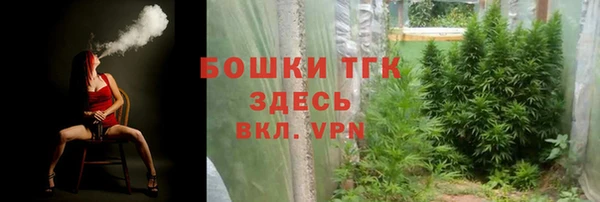 спиды Пересвет