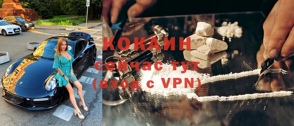 спиды Пересвет