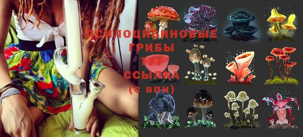 герыч Осинники