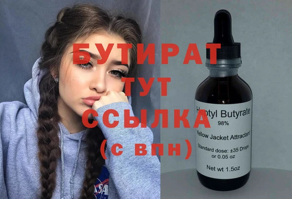 эйфоретик Няндома
