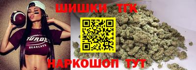 мдпв Гай