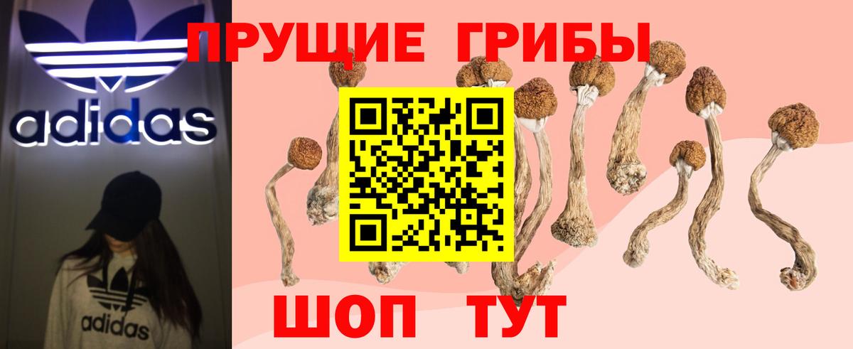 Галлюциногенные грибы Cubensis  Вход с VPN  Истра 