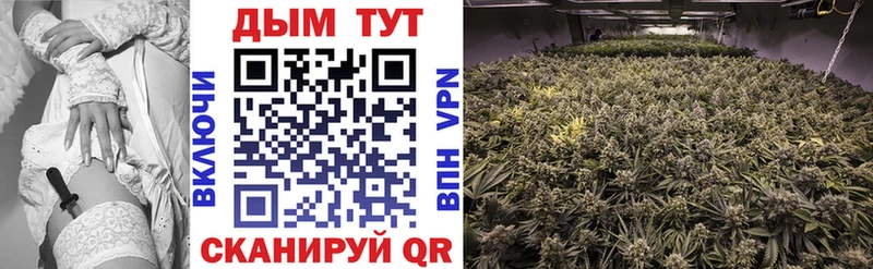 Бошки марихуана White Widow Истра